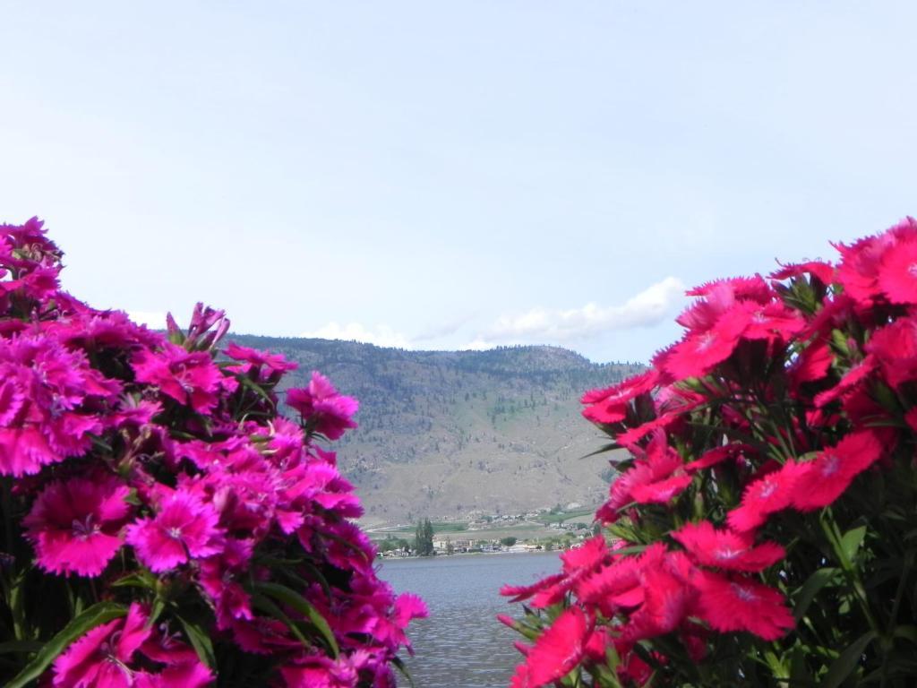 Destiny Beach Resort Osoyoos Kültér fotó